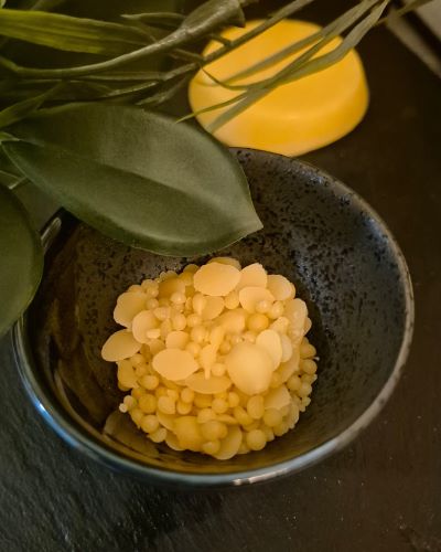 candelilla wax solid lotions