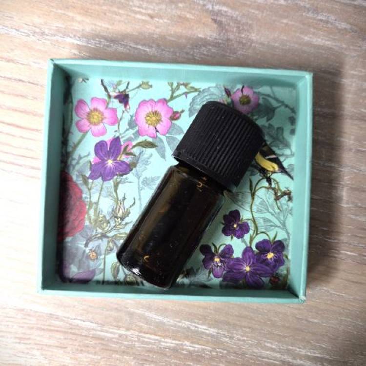 Wild Pansy Extract: How to Make It and Its Real Benefits